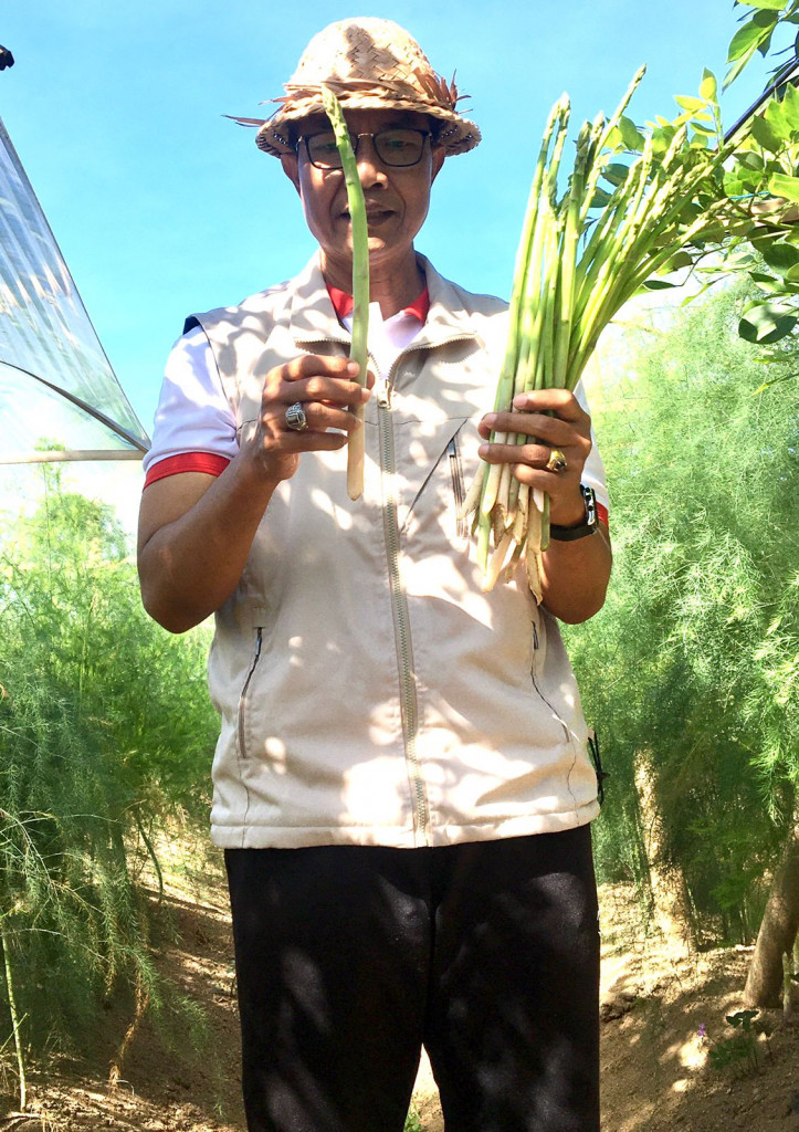MELAKUKAN PEMBINAAN DAN MERANCANG PROGRAM UNTUK PENGEMBANGAN KOMODITAS ASPARAGUS DI DESA PELAGA KECAMATAN PETANG